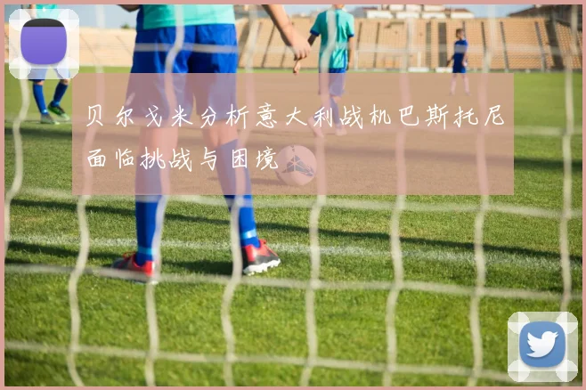 贝尔戈米分析意大利战机巴斯托尼面临挑战与困境